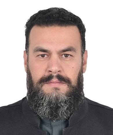 شاهسمندی